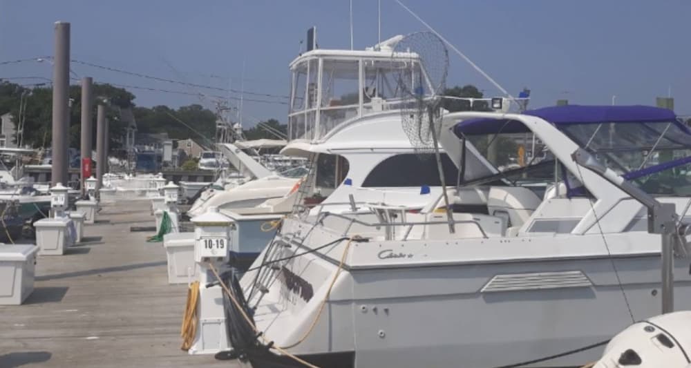Shark River Marina (former Neptune Townsship Municipal Marina)