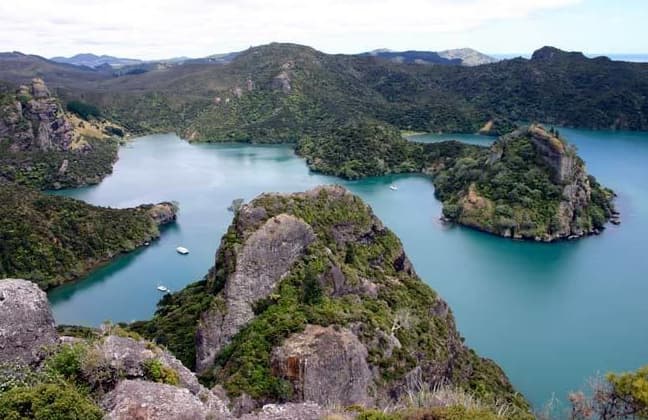 Whangaroa harbour