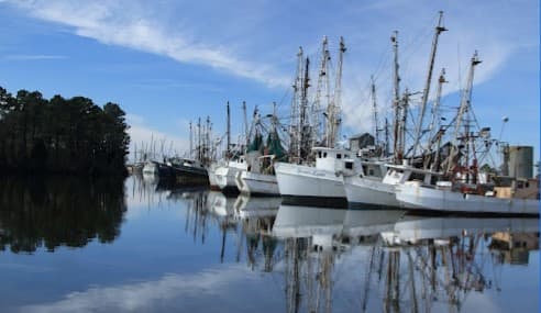 Clark's Marina & Seafood