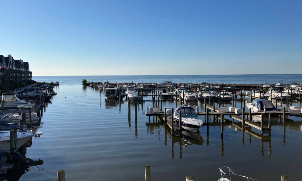 Harbor Club North Marina