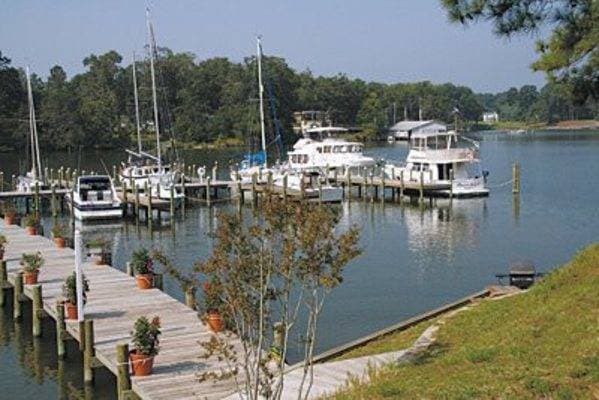 Carter's Cove Marina