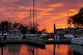 Queen Anne Marina & Silver Swan Bayside