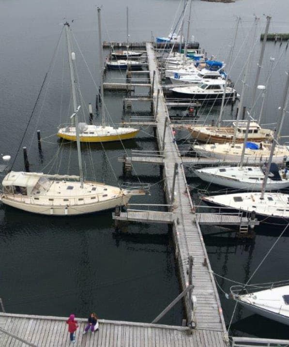 Royal Newfoundland Yacht Club