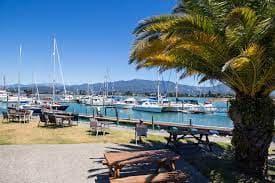 Motueka Marina