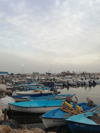 Port De Salamandre Mostaganem