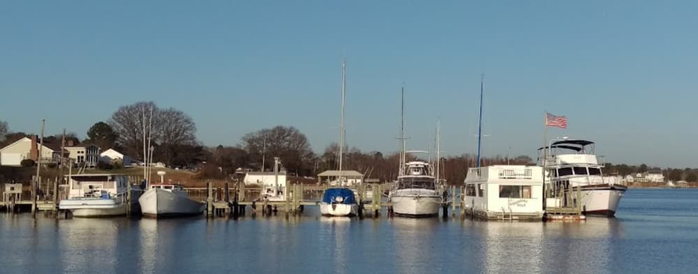 Marina Image