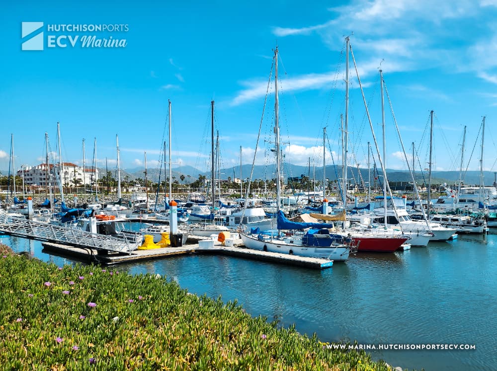 6 en ties from 83´to 135´