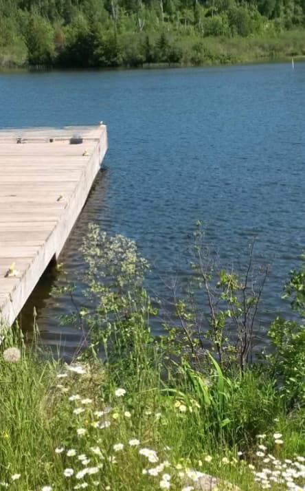 Todd Harbor Campground