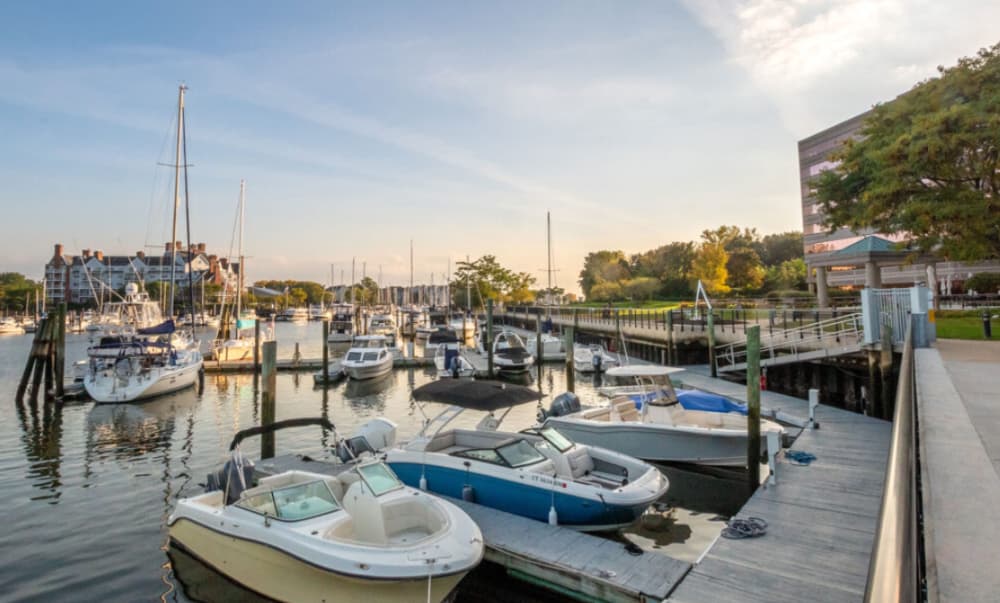 Harbor Point Marinas East