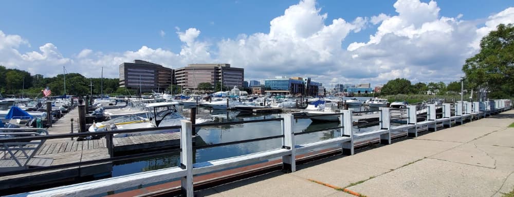 Czescik Municipal Marina