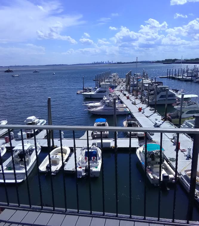 Volunteer Yacht Club