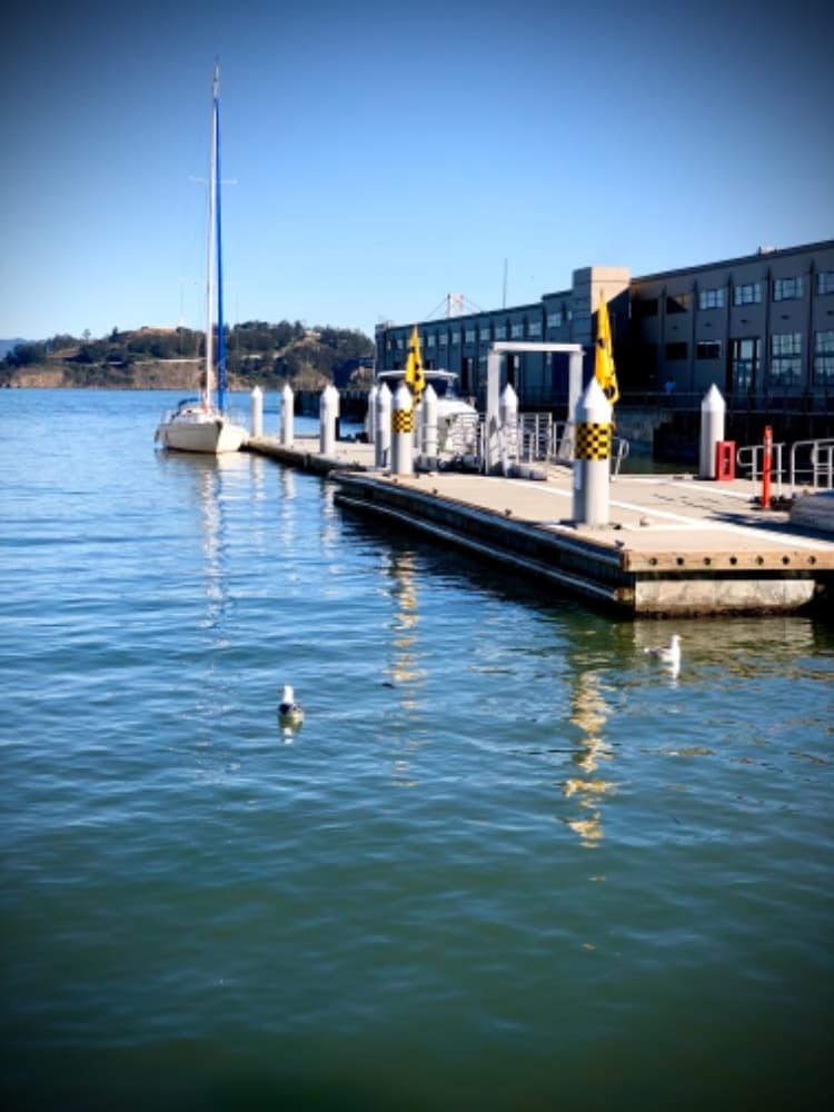 Pier 1 1/2 Public Pier