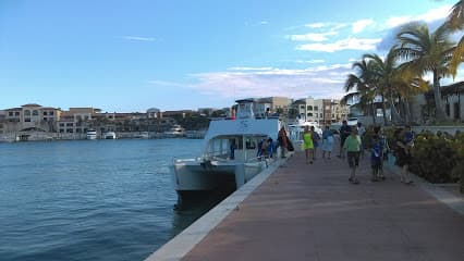 La Marina Puntacana 