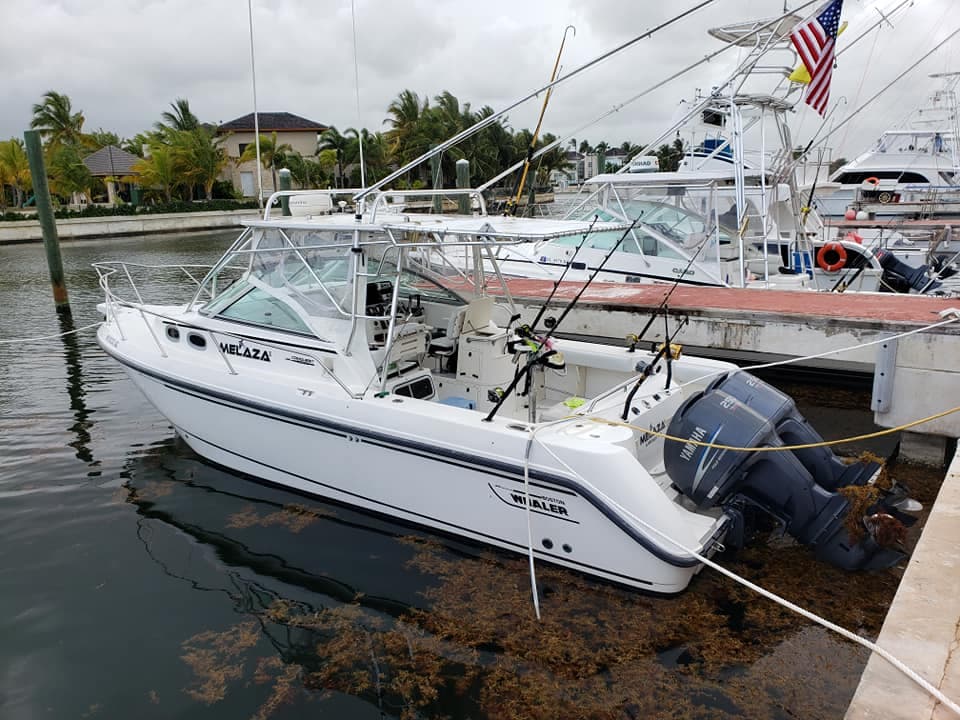 Club Náutico de Arecibo
