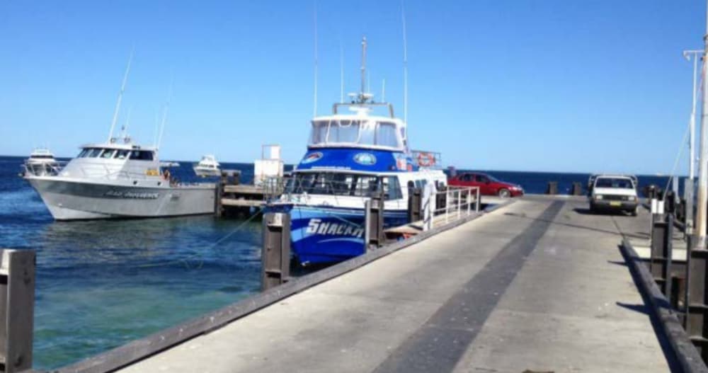 The Cervantes marine