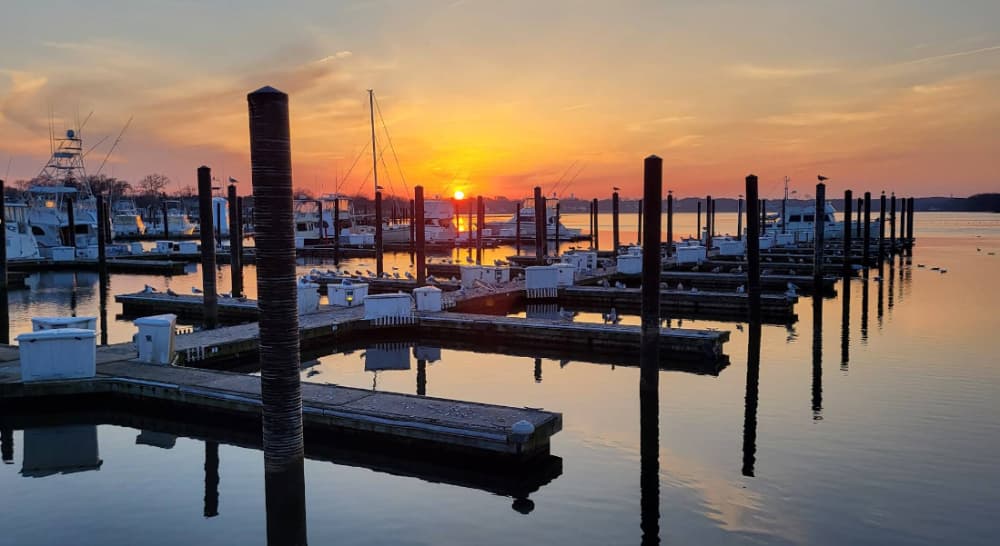 Belmar Manutti Marina