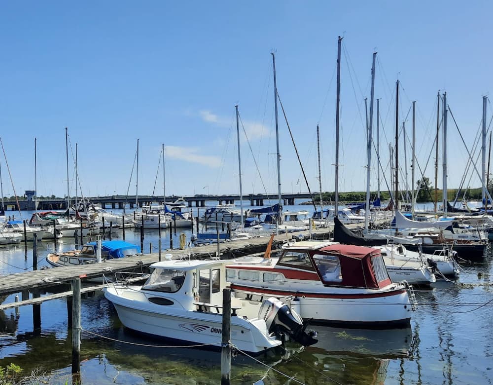 Marina Image