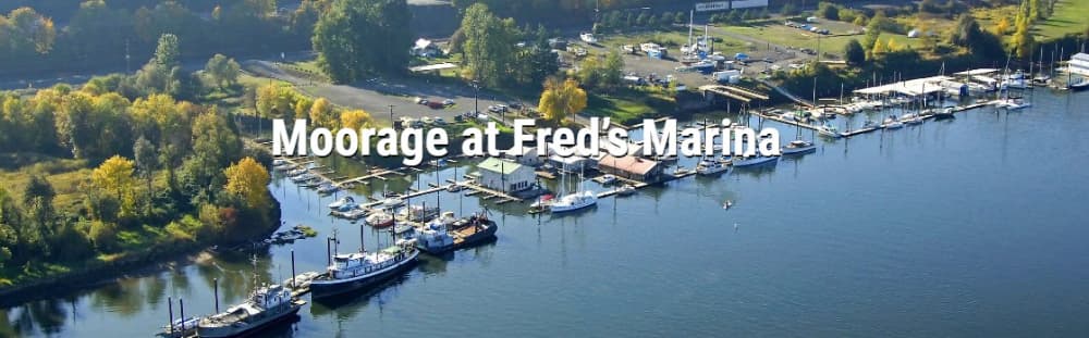 Marina Image