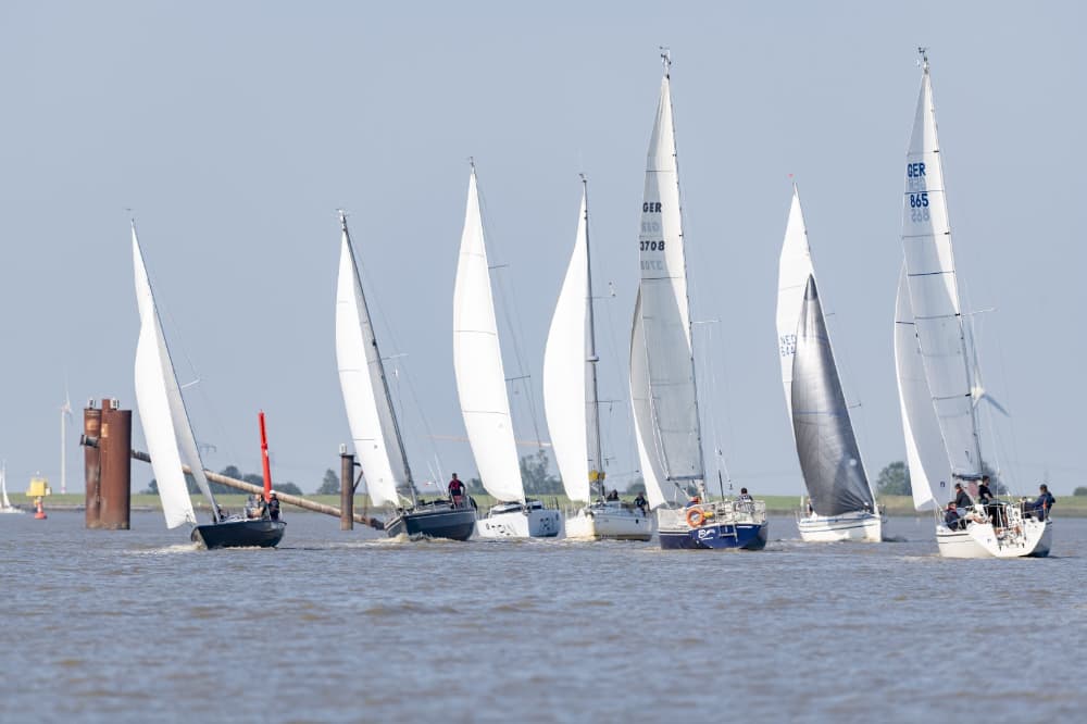Regatta JEMGUM